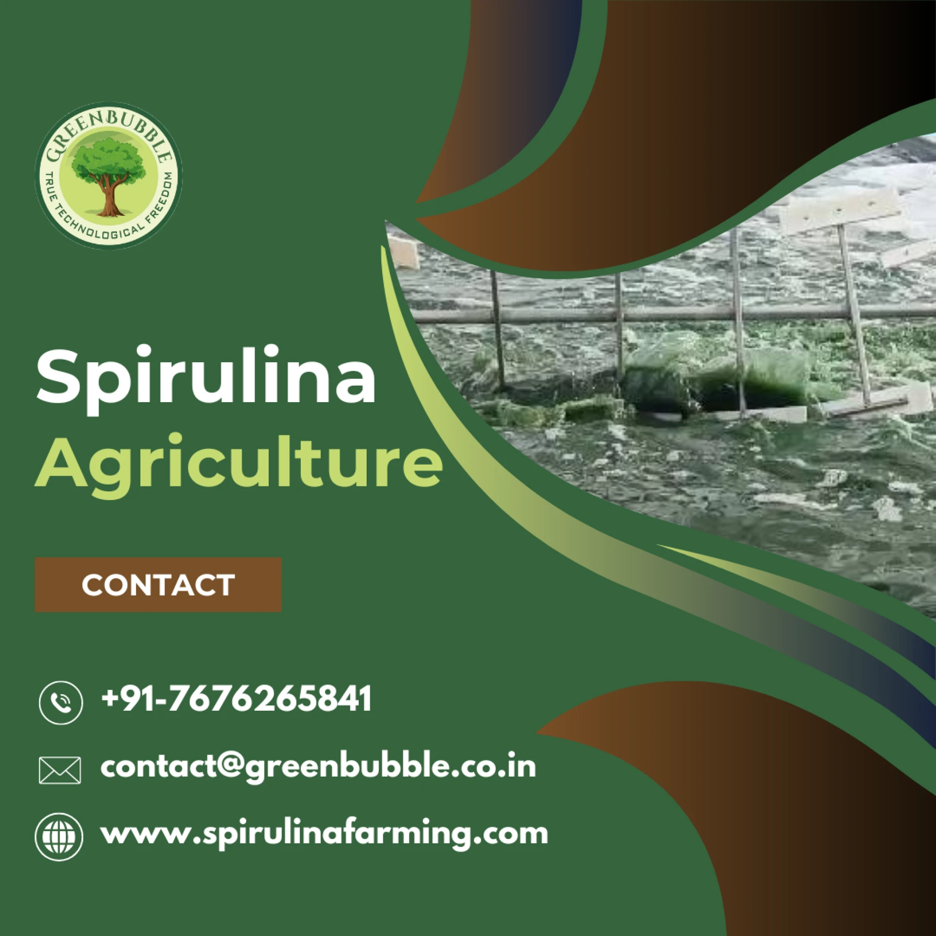 Spirulina Agriculture: Key Markets and Emerging Opportunities