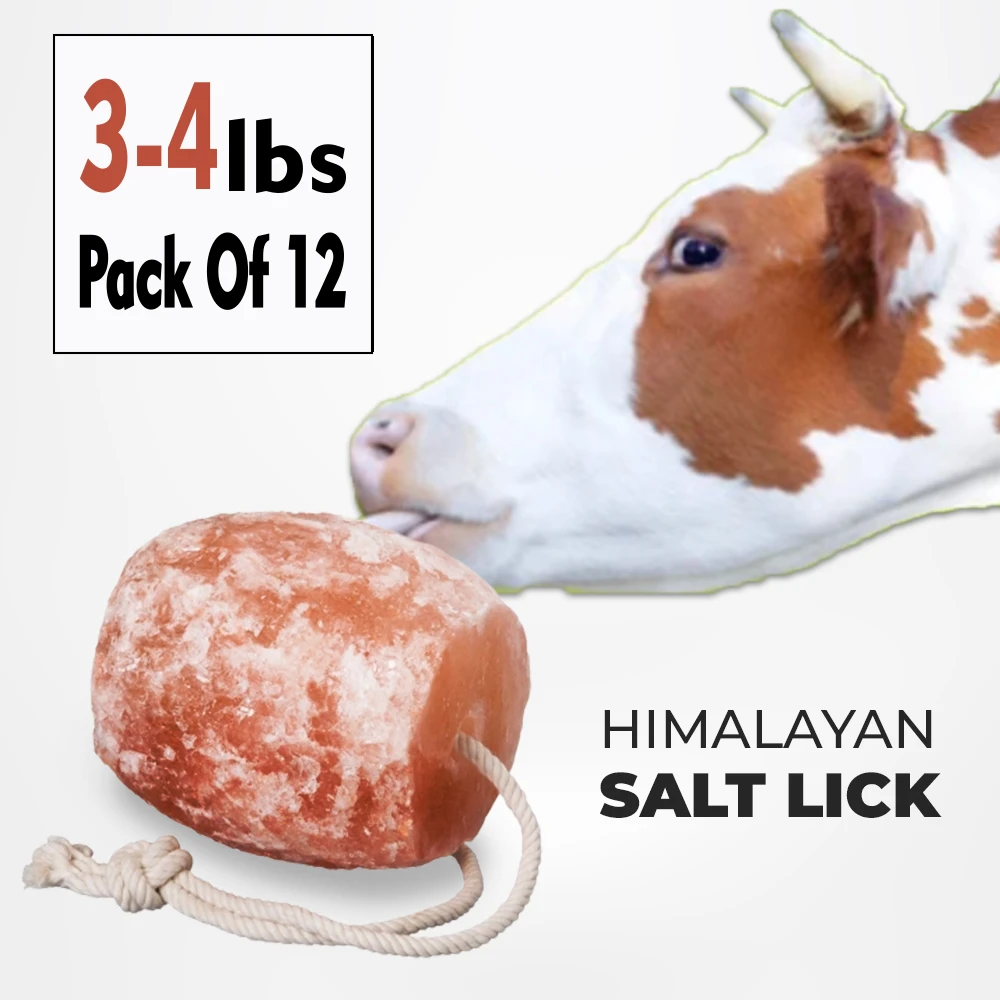 cow salt lick block