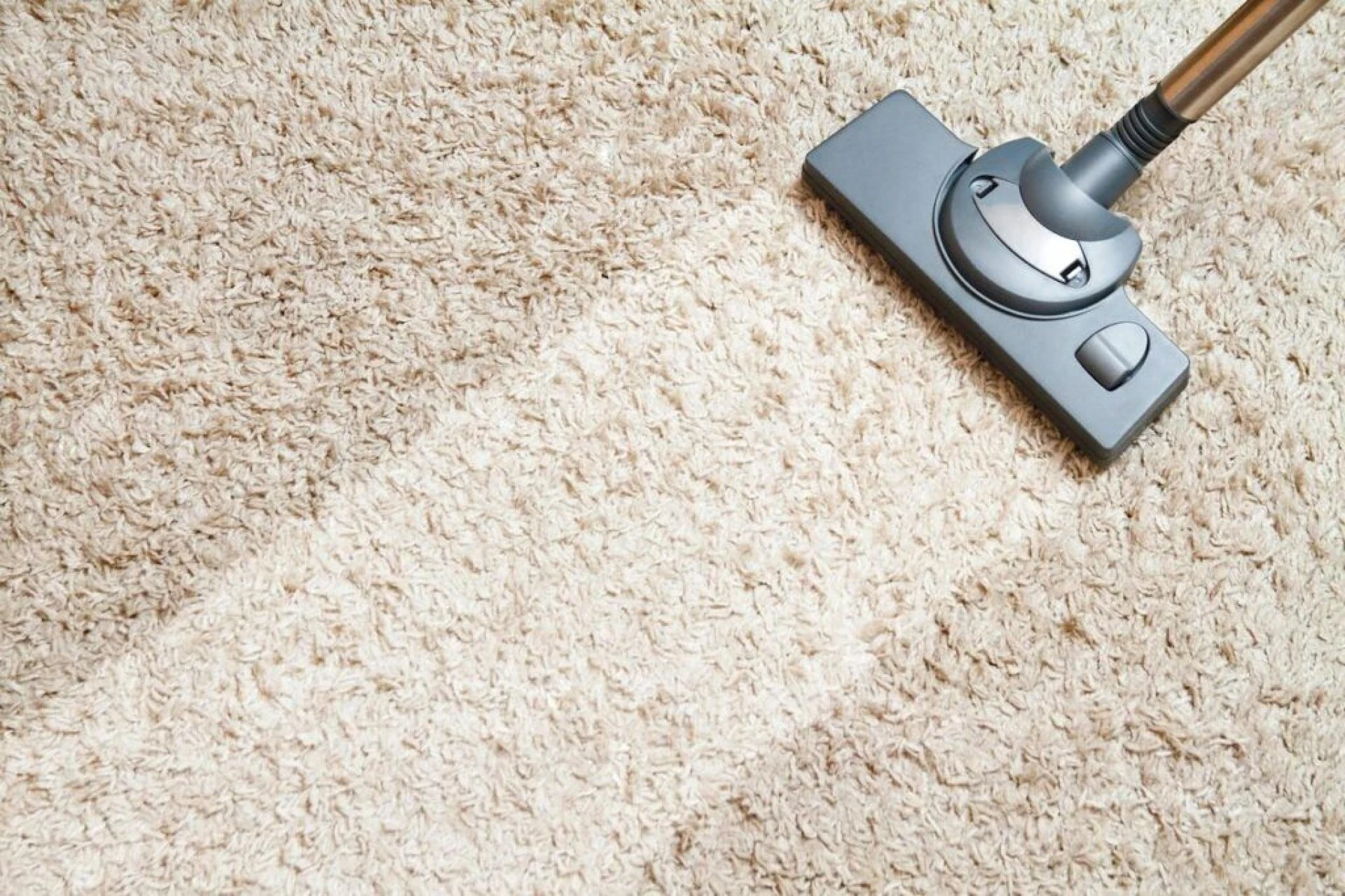 Expert Carpet Cleaning Services in Central and West London