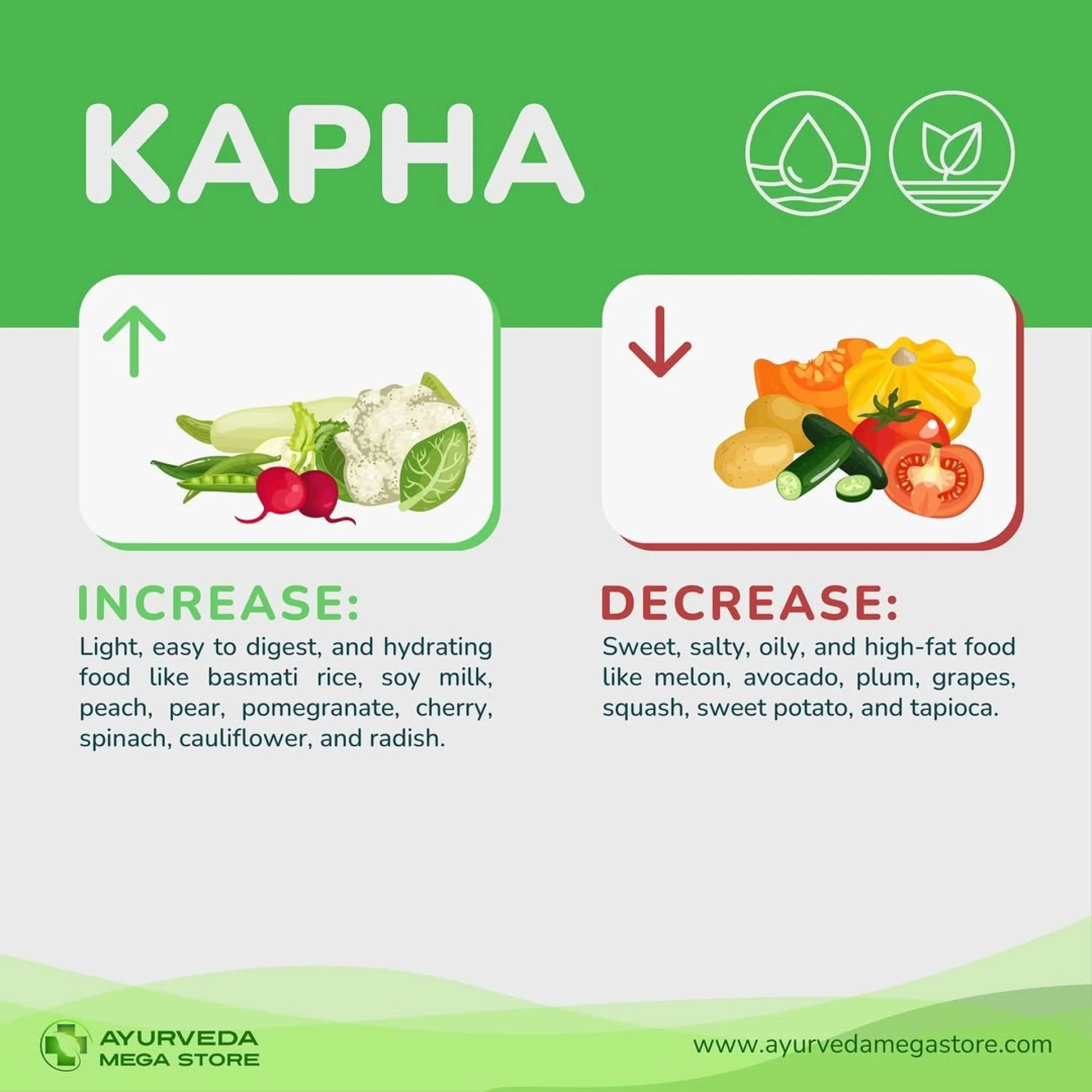 Your One-Stop Destination for Ayurvedic Wellness: Ayurveda Megastore