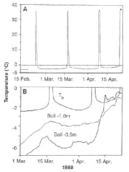 How Hibernating Rodents Inspire Human Hibernation Technology?