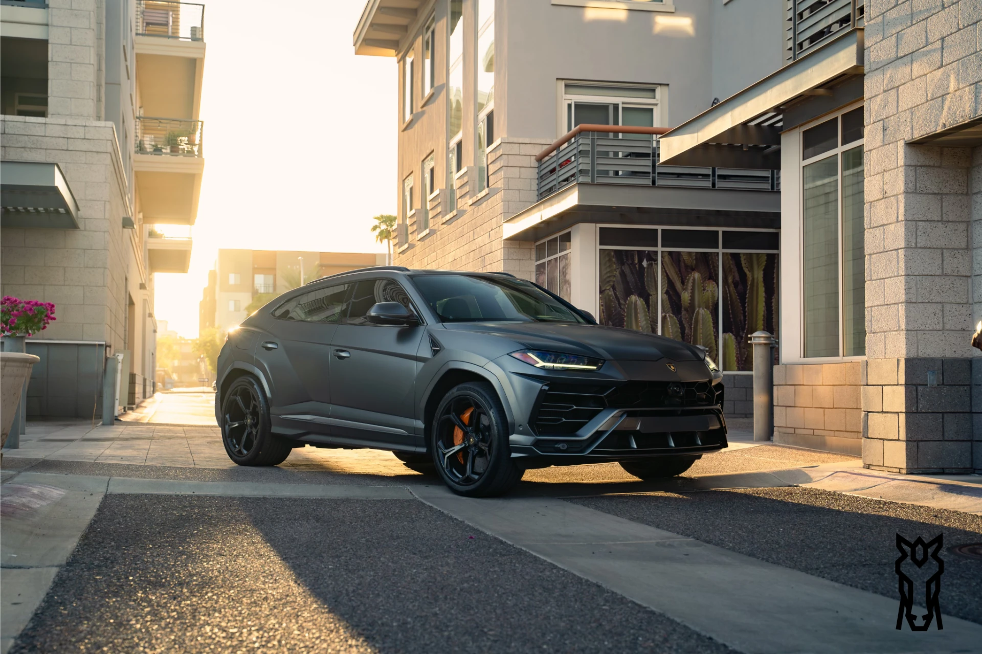 Lambo Rental in Arizona: Experience the Thrill of Driving 