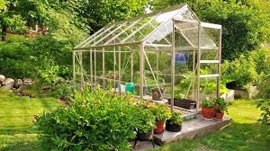 Greenhouse Construction Tips for Thriving Gardens All Seasons