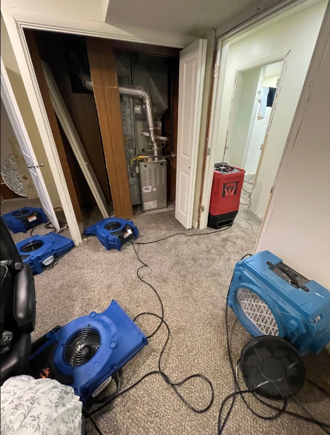 The Long-term Benefits of Professional Water Damage Restoration Services