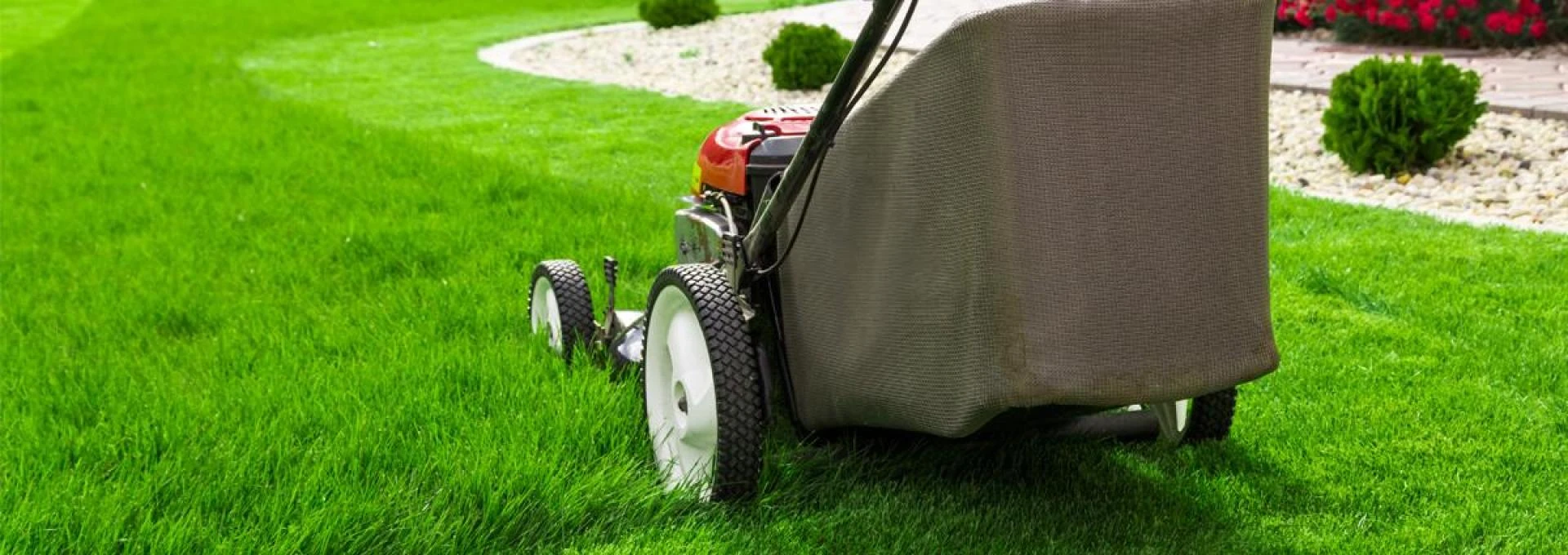 Lawn Repair Service in Waikato, NZ: Restore Your Lawn to Its Best