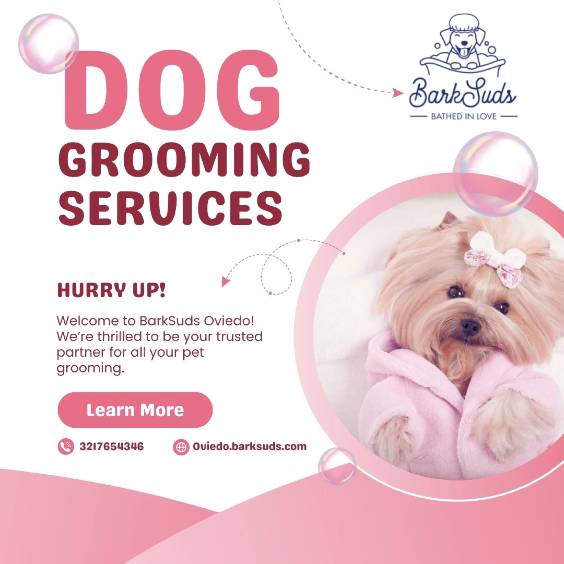 Pampering Your Furry Friends with Grooming Excellence