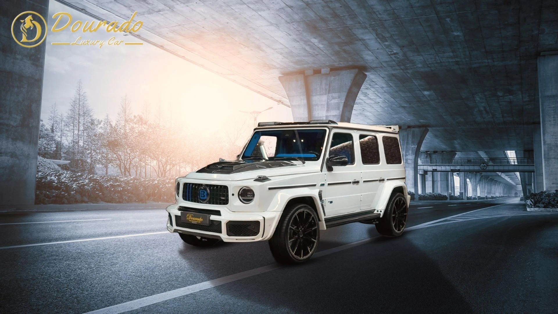 Dubai's Premier Luxury Car Dealership: Find Your Perfect Match