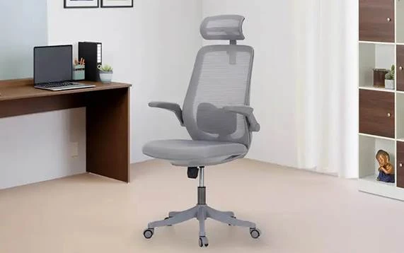 Why You Should Invest in an Ergonomic Office Chair This Year