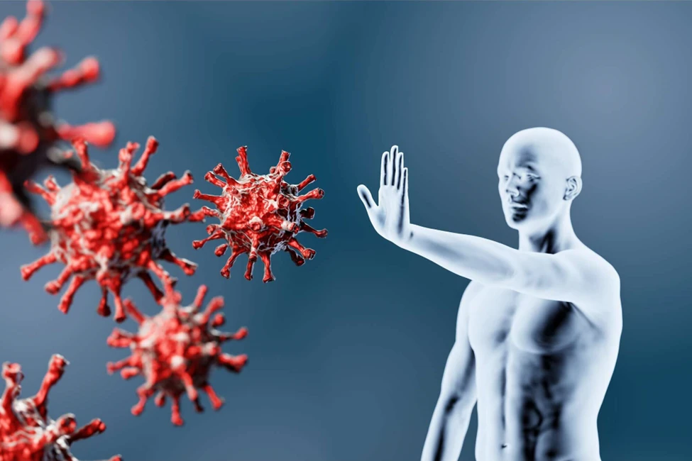 Why is Sea Moss So Popular? | Trending Ingredients