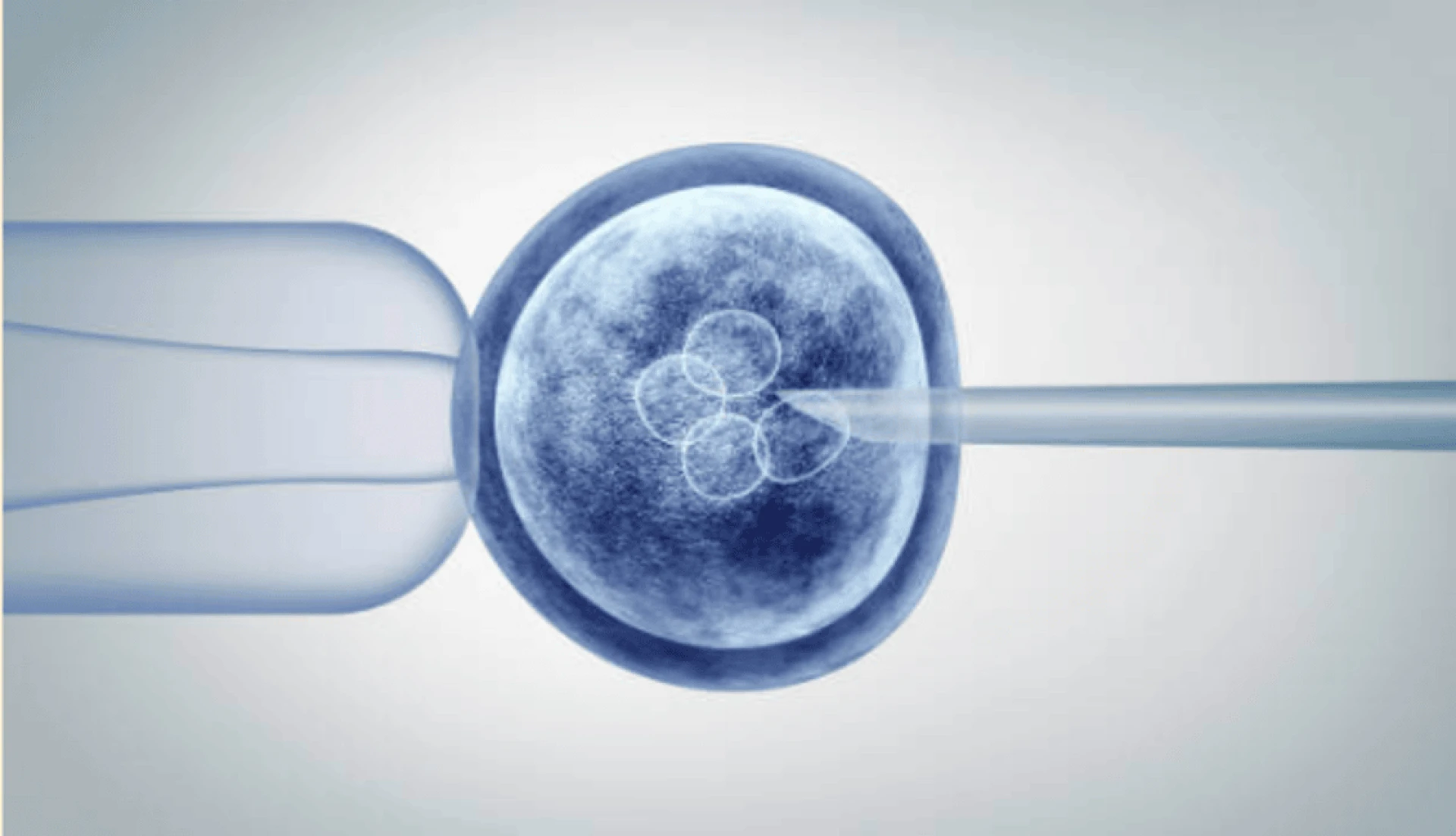 Stem Cells Treatment in Dubai: Revolutionizing Healing and Rejuvenation