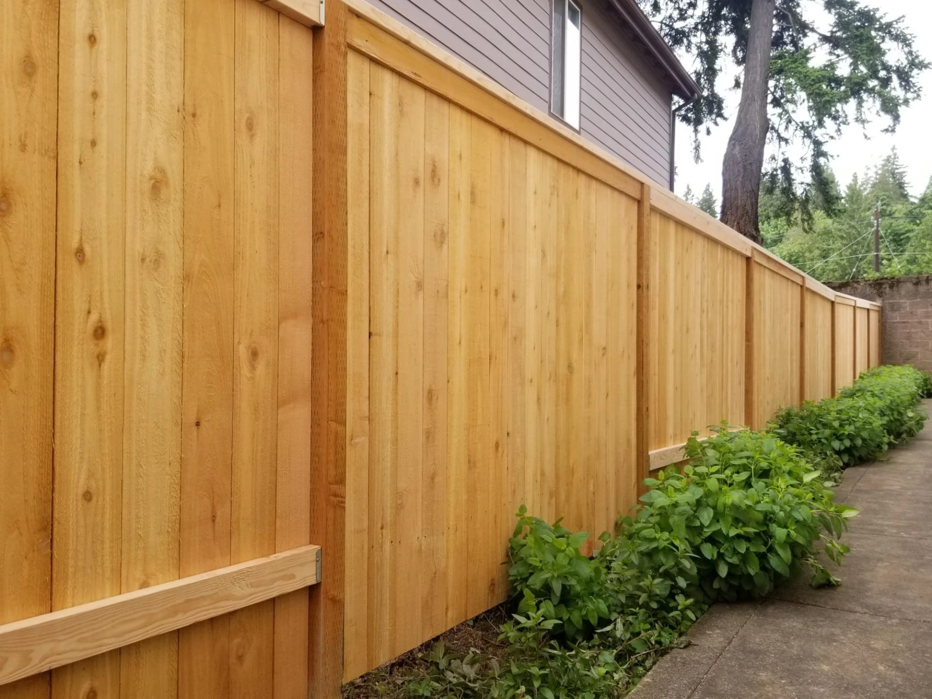 Choosing the Right Fence Company in Vancouver, WA: What You Need to Know