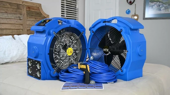 Types of Cockroaches in Texas and How a Bed Bug Heater Can Eliminate Them?