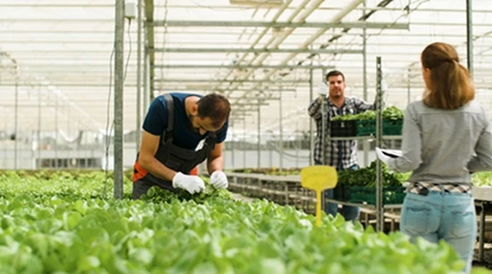 Transforming Farming Practices: Trends and Growth Opportunities in the Precision Agriculture Market 