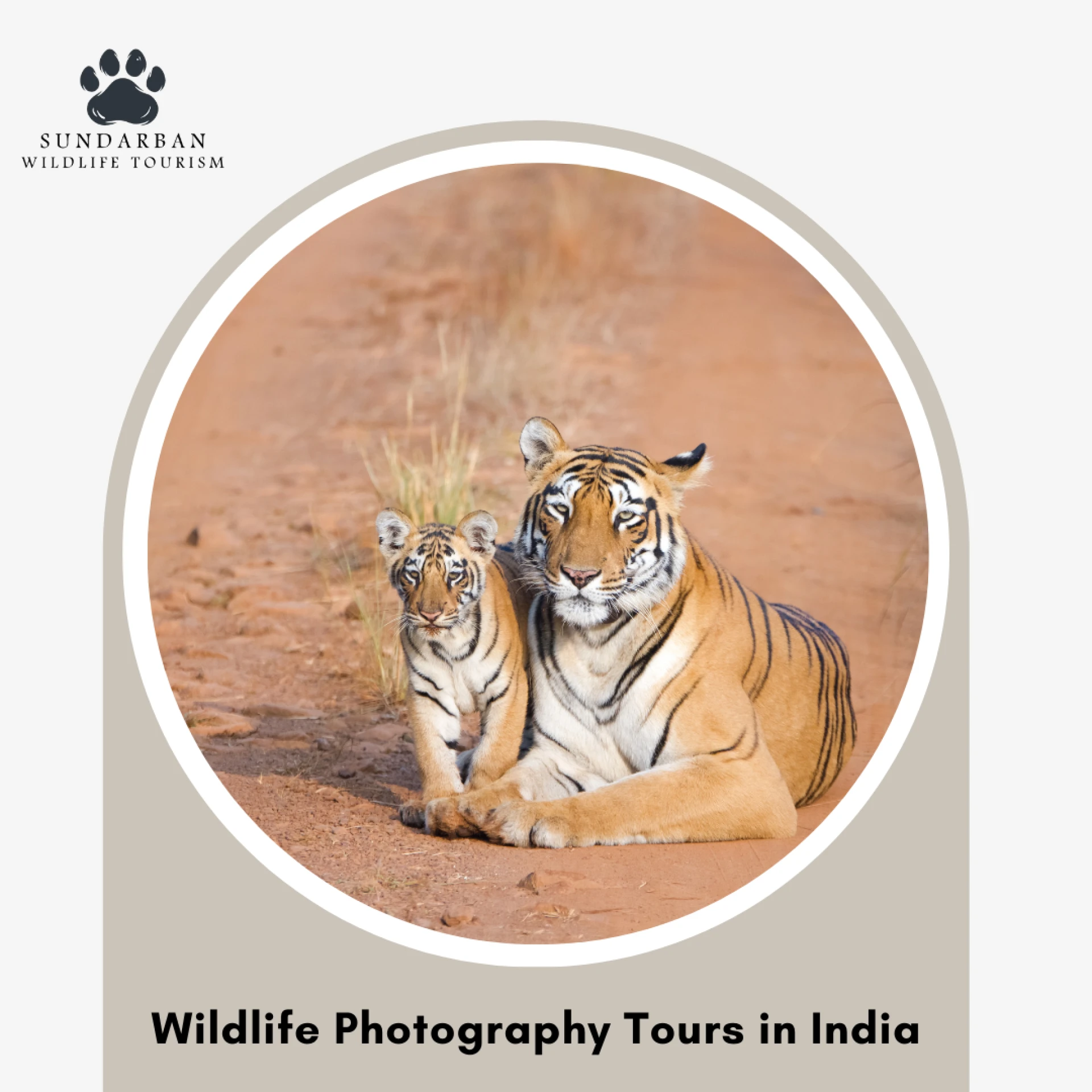 Sundarban Wildlife Tourism: Explore the Best Wildlife Safaris in India