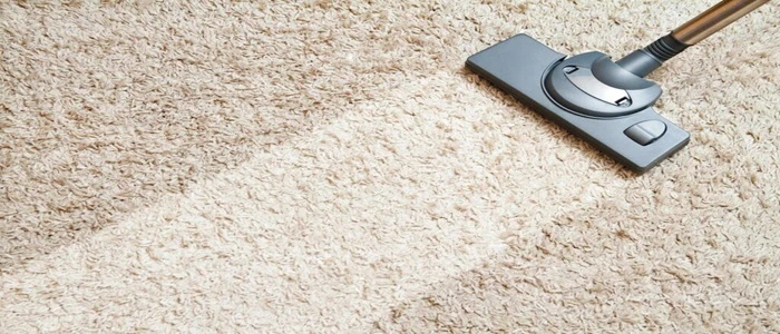 Value of Frequent Carpet Cleaning