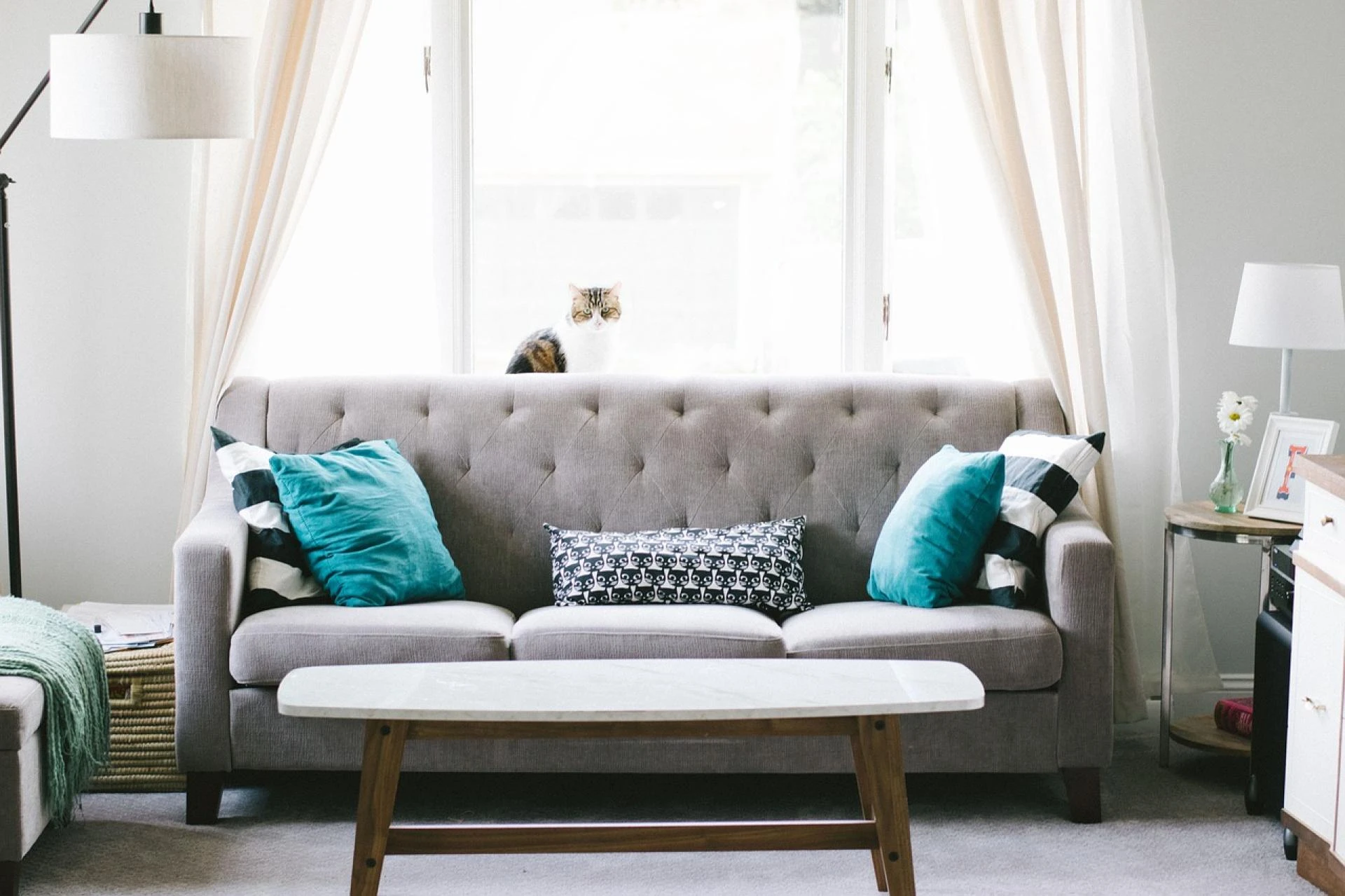 Best Online Furniture Stores in Maharashtra | Top Picks for Quality & Style"