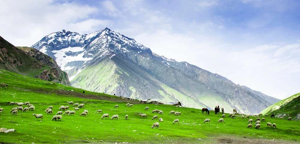 Explore the Paradise on Earth with Kashmir Packages from Delhi