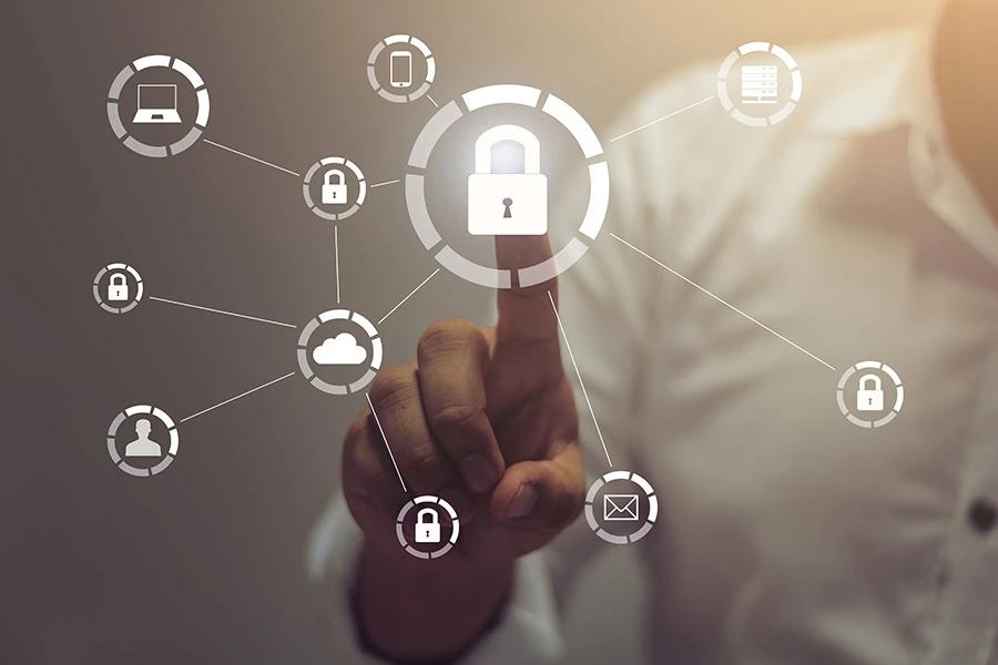  How to Choose the Most Suitable Crypto Wallet According to Your Needs