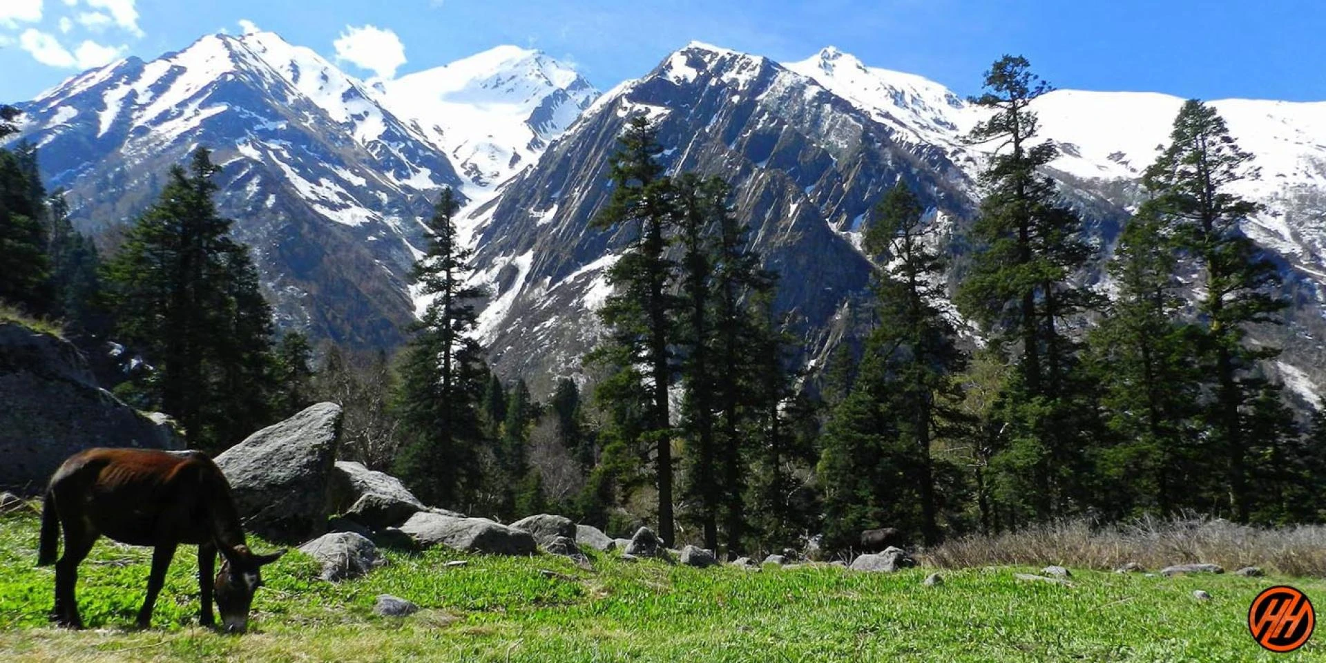 Har Ki Dun Trek: A Majestic Journey Through the Valley of Gods