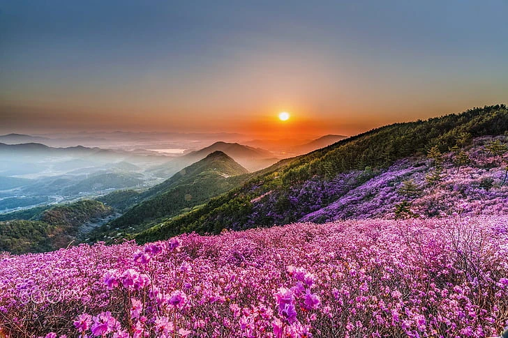 Valley of Flowers Trek: A Walk Through Nature’s Paradise