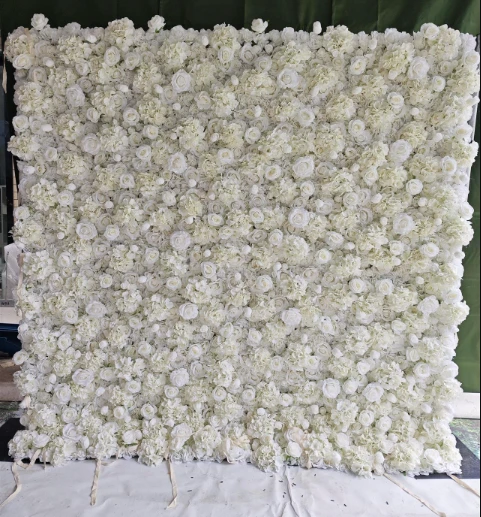 Best Premium Backdrops Packages for Professional Photography