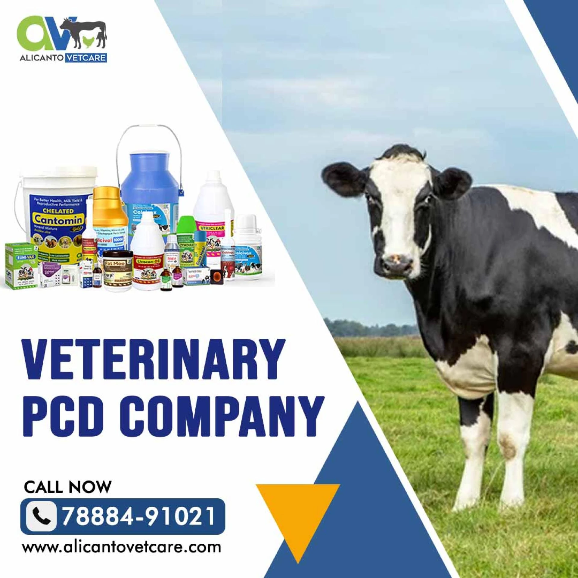 Veterinary PCD Company