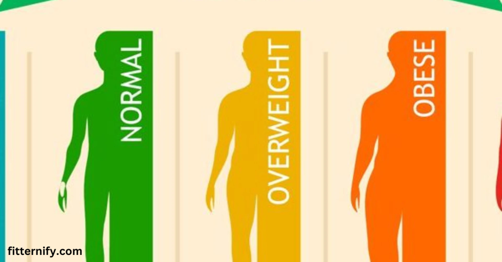 How to Calculate Your BMI Online: A Step-by-Step Guide