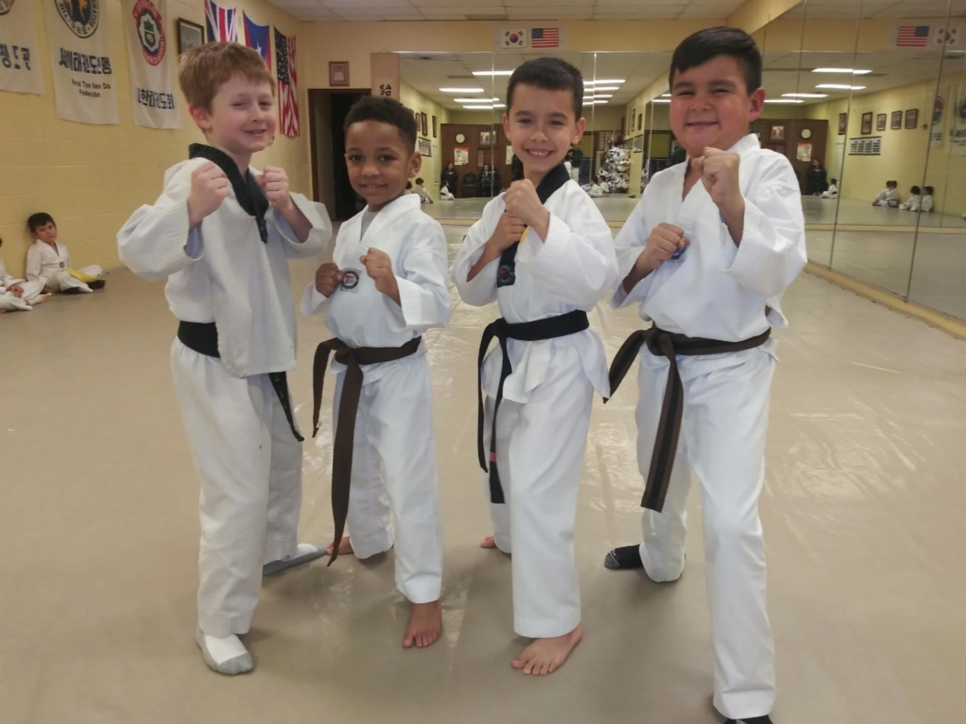 A Journey Through the Art of Taekwondo and Its Cultural Significance