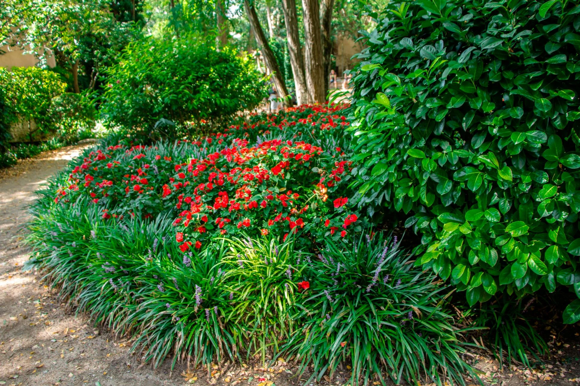 Why Expert Landscapers Favor Native Plants for Eco-Friendly Gardens