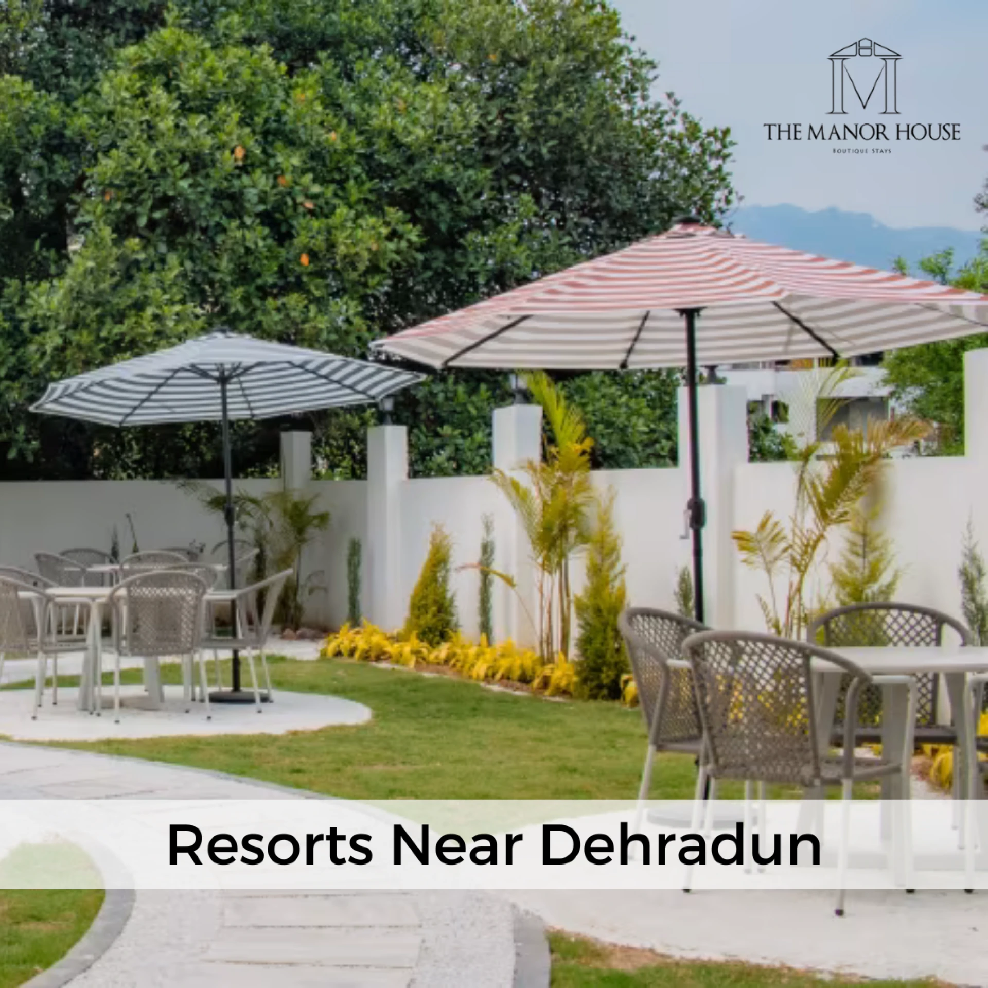 Which Resorts in Dehradun with a Swimming Pool Have the Best Reviews