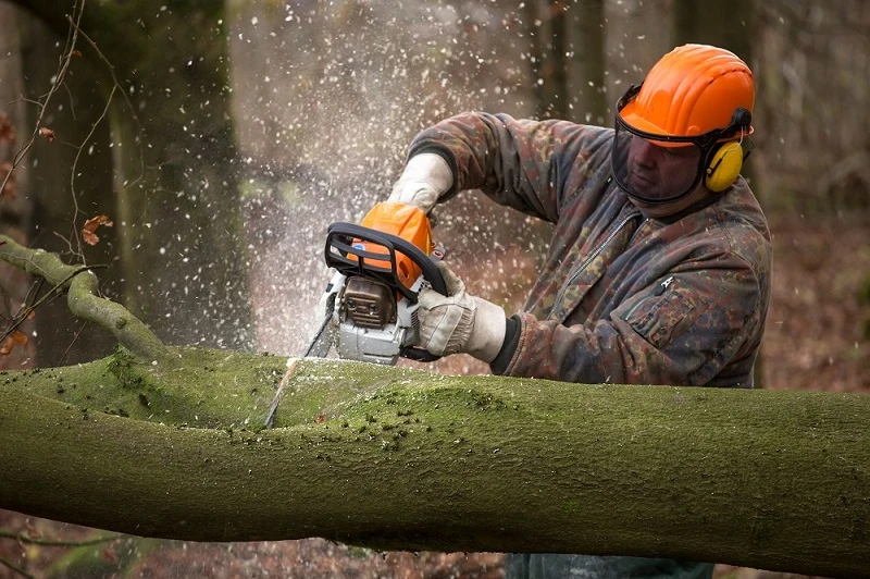 Unleashing Power At The Backyard: A Comprehensive Guide On Choosing The Right Battery Chainsaw