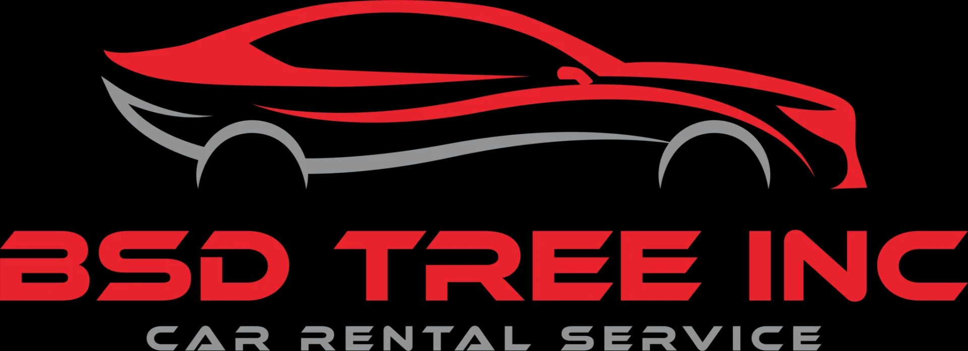 Discover BSD Tree Inc.: Your Trusted Partner for Car and Van Rentals in New York  