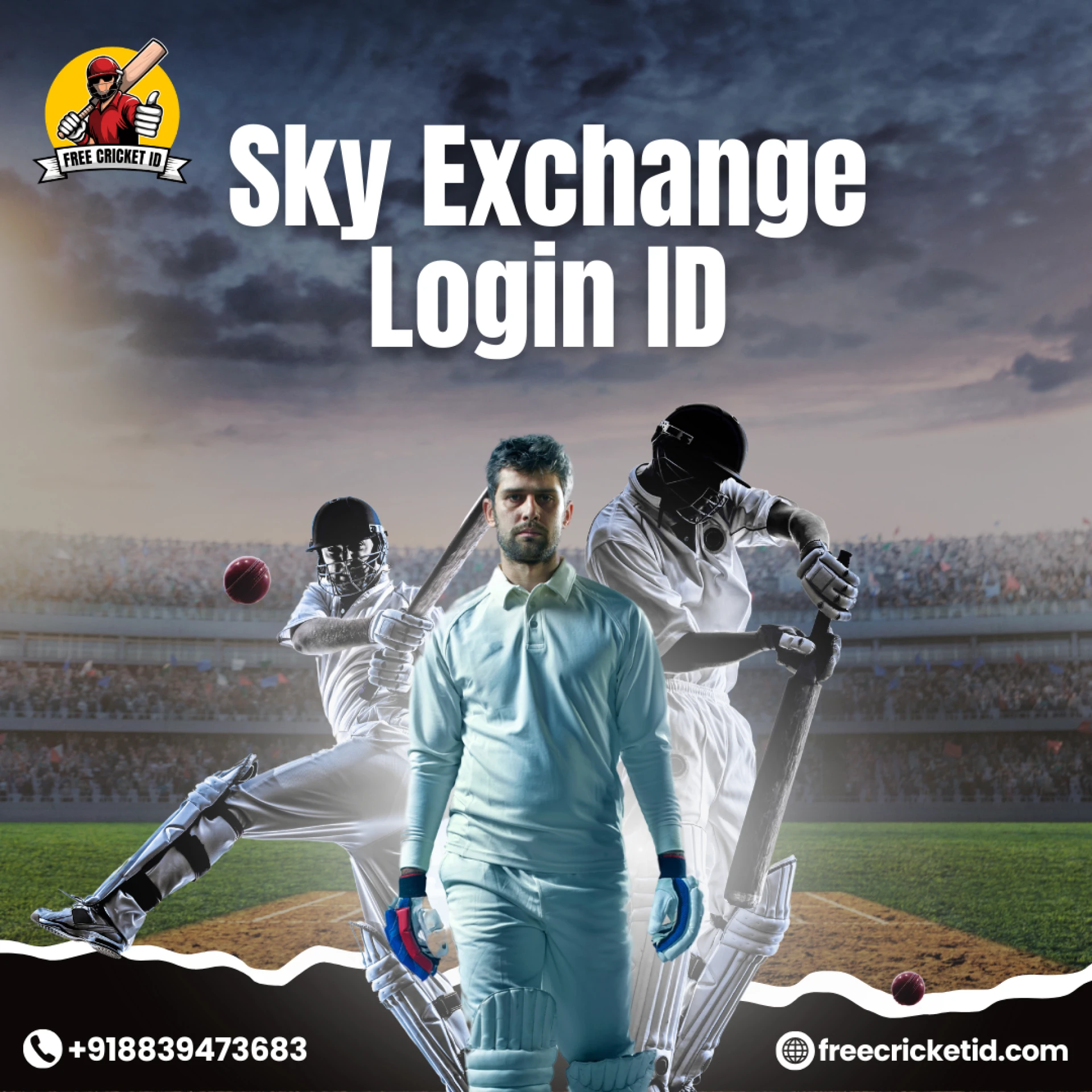 How to Login to Silver Exchange ID and Sky Exchange Betting ID
