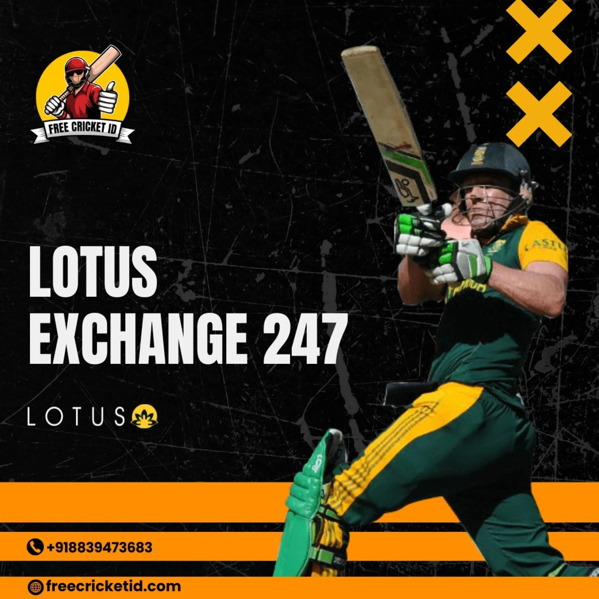 What Are the Steps to Access Lotus Exchange 247