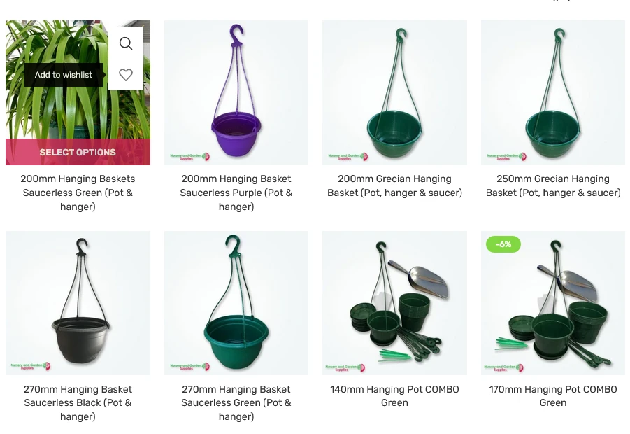 Transform Your Small Space with Hanging Pot Plants