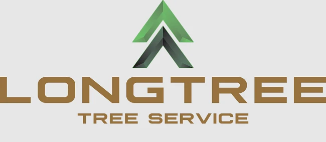 Southfield Tree Service: Your Trusted Partner for Professional Tree Care Solutions