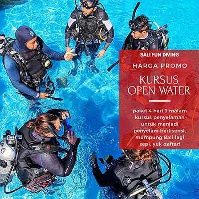 Discover Bali Dive Adventures with an Open Water Diving Course