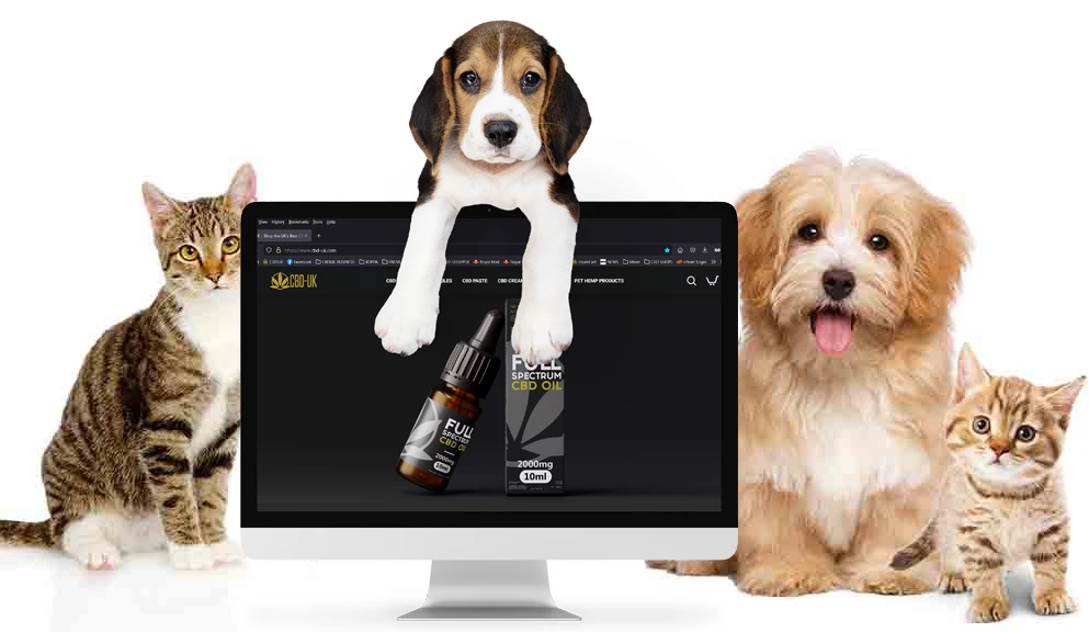 Is CBD Safe for Pets? What You Need to Know Before Using It
