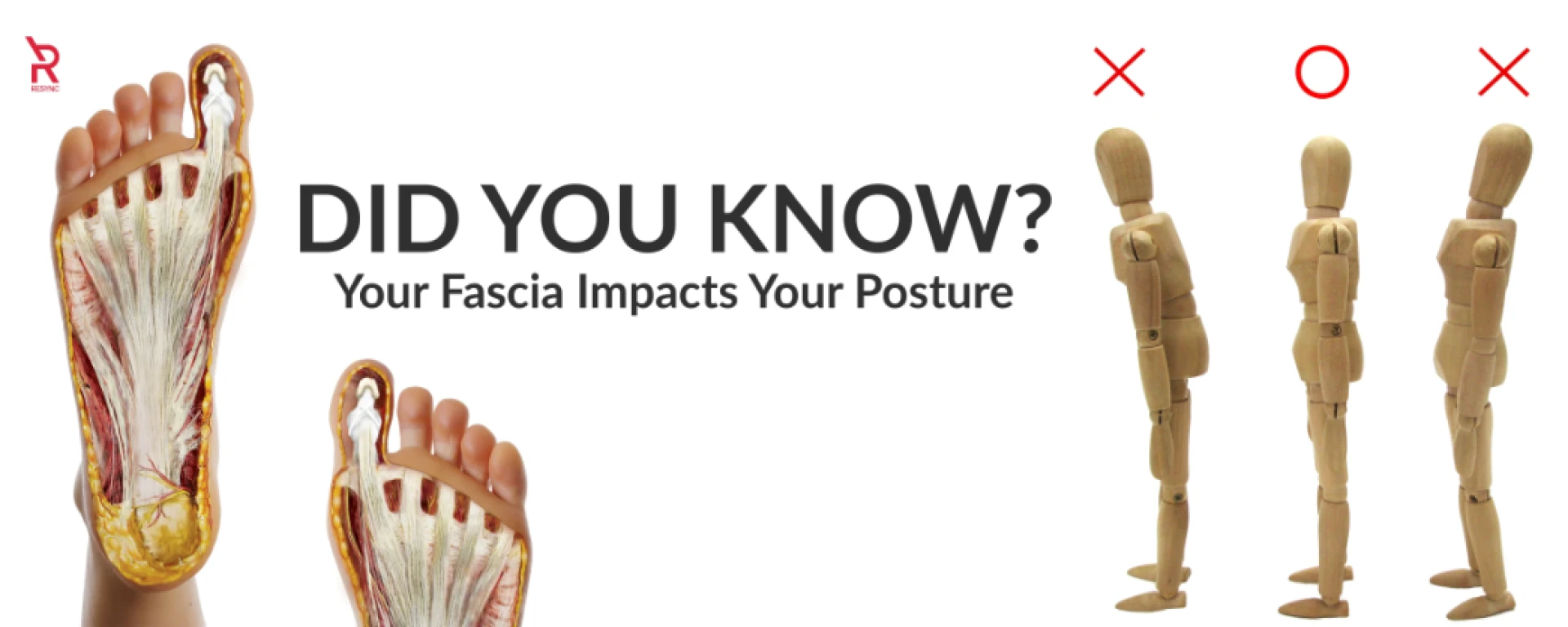 Fascia Hydration Secrets: Unlocking Mobility, Strength, and Recovery