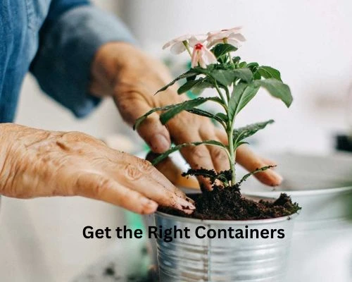 Indoor Vegetable Gardening Made Easy: Tips for Beginners