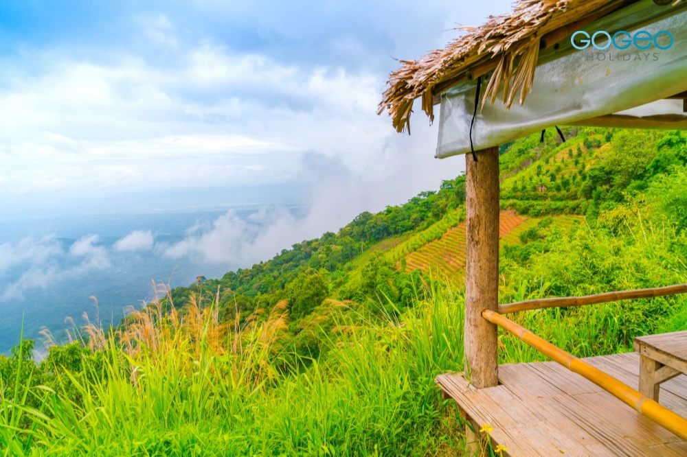 A view of sky and greenery of Munnar