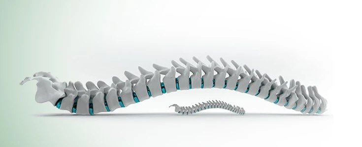 How Spine Surgery Hospitals Are Using Robotics for Better Precision