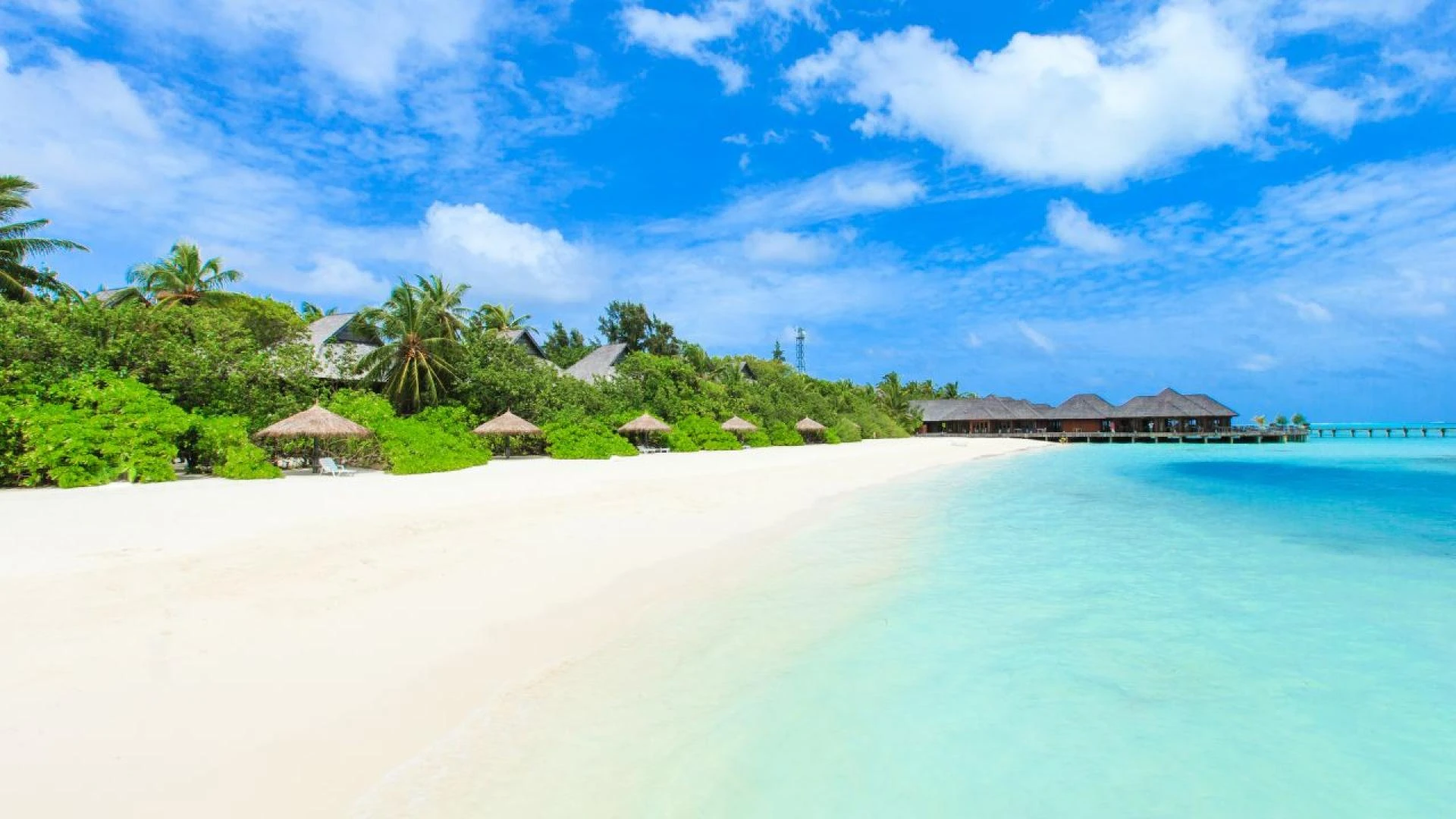 Maldives Tour Packages – Your Gateway to Paradise