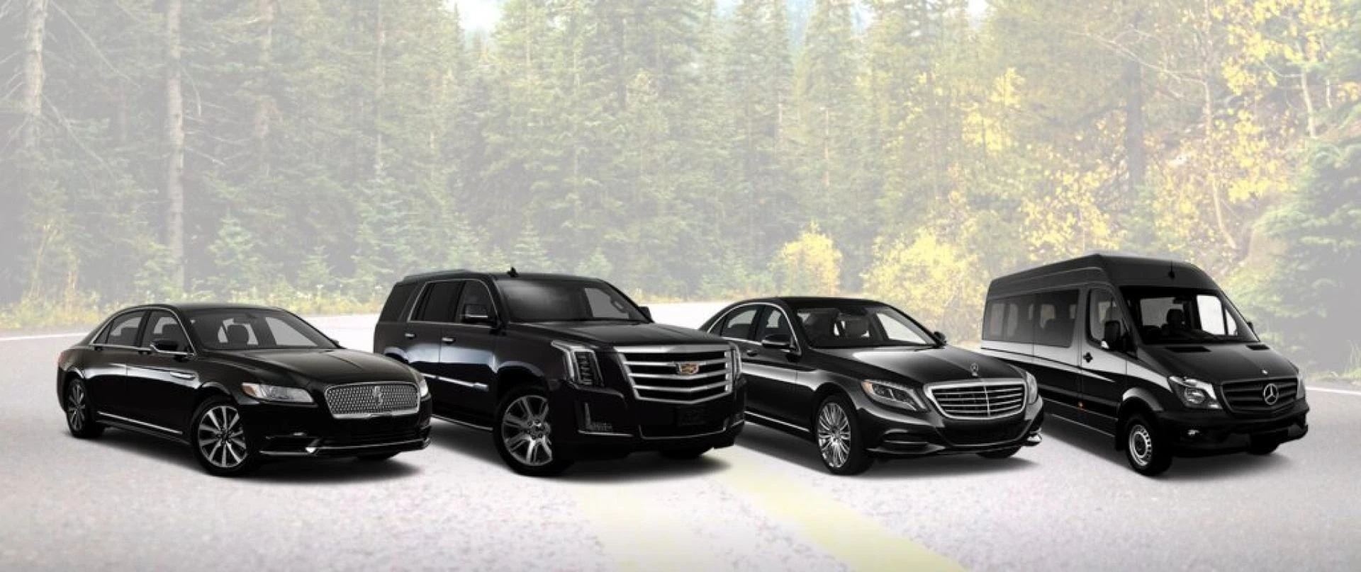 Hire limousine services to facilitate VIP travels in Qatar