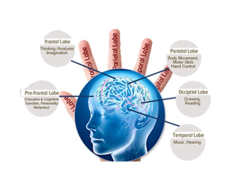 How DMIT Test Online Can Help Students Choose the Right Career Path?