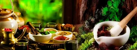 Experience Holistic Healing at the Best Ayurvedic Center in Dubai