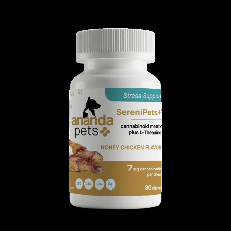 Pawsitively Relaxed: How CBD Soft Chews Can Help Your Dog Chill Out