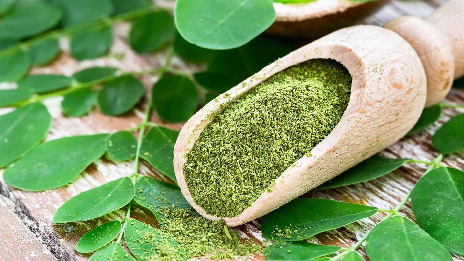 Can Moringa Powder Help with Weight Loss? A Natural Boost to Your Wellness Journey