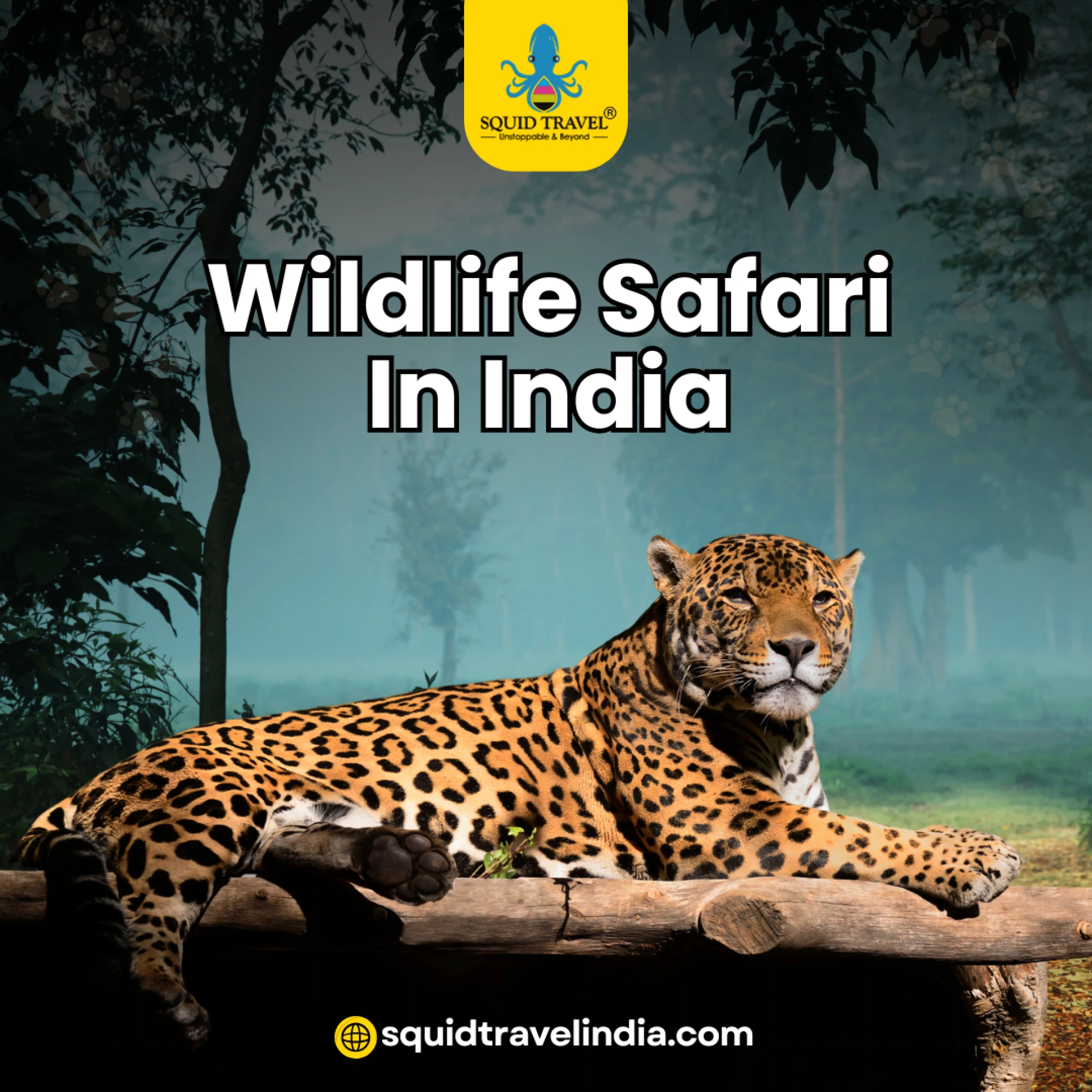 Wildlife Safari in India: Discover the Best Experience with Squid Travel India