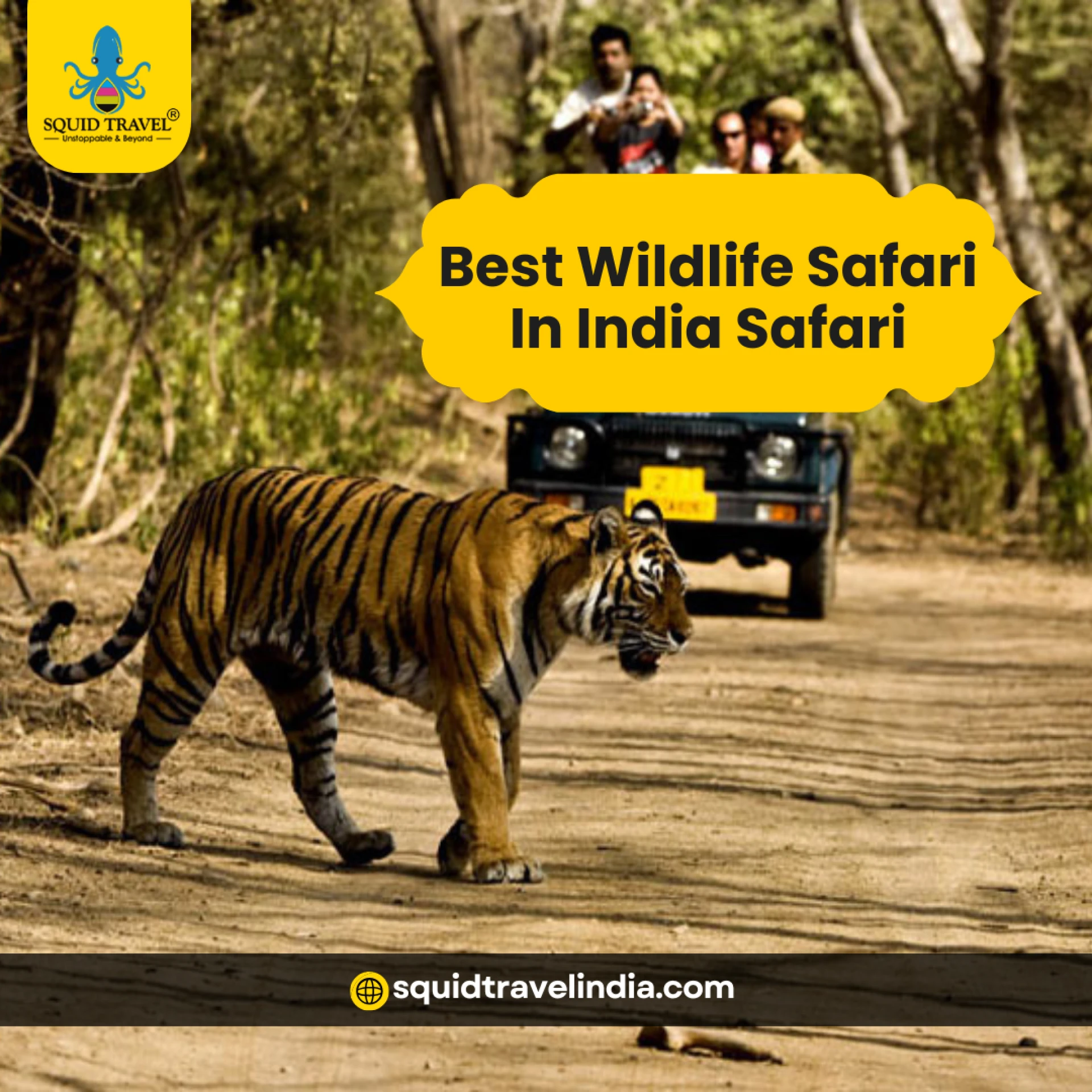Wildlife Safari in India: Discover the Best Experience with Squid Travel India